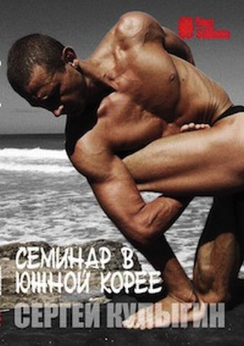 DVD Кулыгин Семинар в Ю.Корее (3 диска) DVD Кулыгин Семинар в Ю.Корее (3 диска)