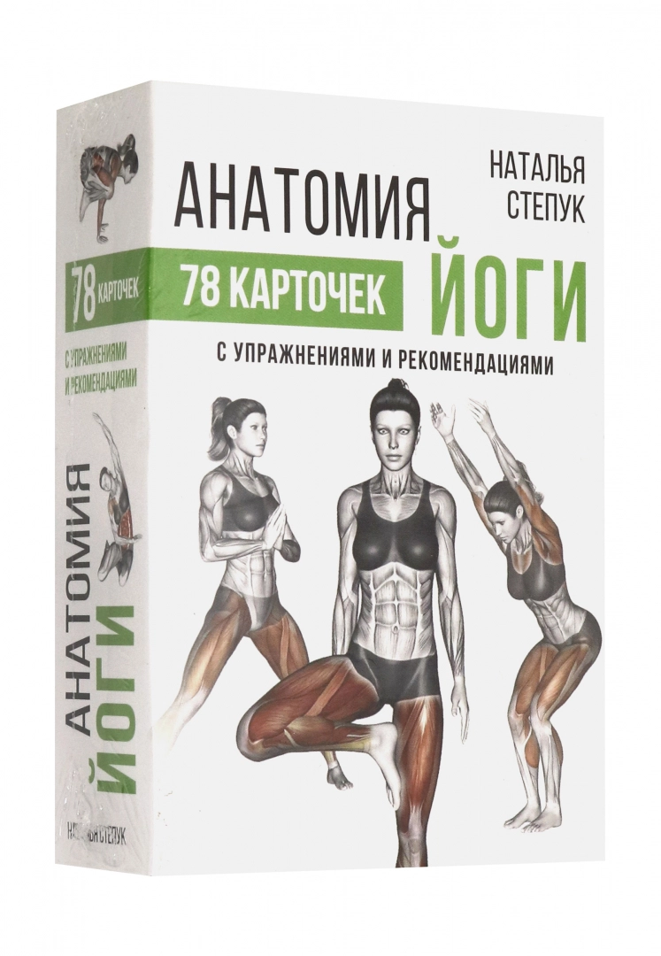 Анатомия йоги, 78 карточек // Н.Степук