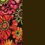 brown/flowers brown/flowers